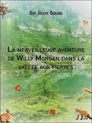 cover image of La merveilleuse aventure de Willy Morgan dans la vallée aux pierres